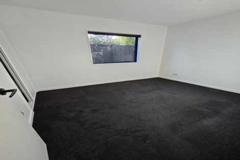 Photo of property in 117b Nursery Road, Phillipstown, Christchurch, 8011