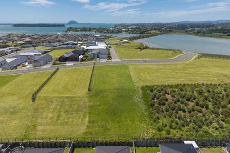Photo of property in 10 Kuaka Rise, Omokoroa, 3114