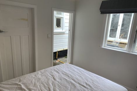 Photo of property in 111 Wallace Street, Mount Cook, Wellington, 6021