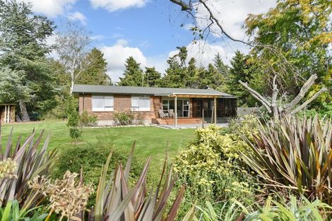 Photo of property in 101 Balcairn Amberley Road, Balcairn, Amberley, 7481