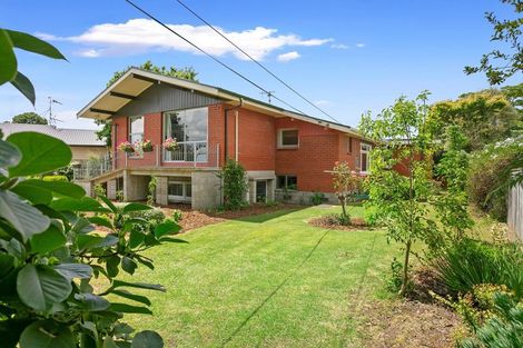 Photo of property in 39 Elizabeth Street, Matamata, 3400