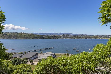 Photo of property in 31 Rata Road, Hataitai, Wellington, 6021