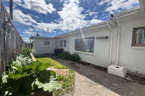 Photo of property in 56 Fergusson Street, Tokoroa, 3420