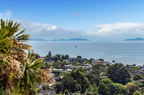 Photo of property in 1 Elizabeth Place, Mairangi Bay, Auckland, 0630