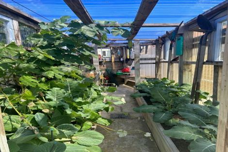 Photo of property in 49 Hindmarsh Street, Johnsonville, Wellington, 6037