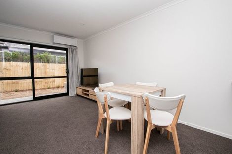 Photo of property in 17u4 Lyon Street, Frankton, Hamilton, 3204