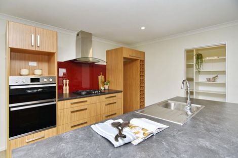 Photo of property in 111 Ruskin Street, Addington, Christchurch, 8024