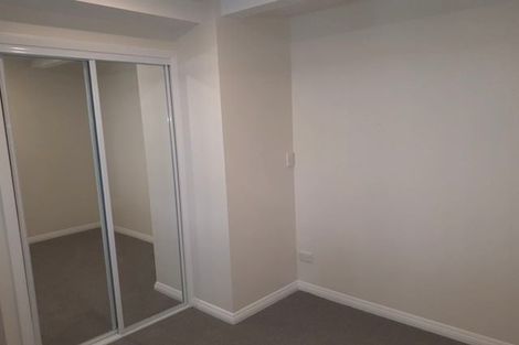 Photo of property in 97 Tasman Street, Mount Cook, Wellington, 6021