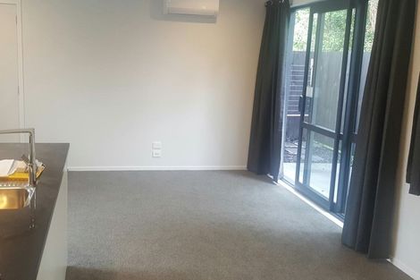 Photo of property in 21u4 Fifth Avenue, Enderley, Hamilton, 3214