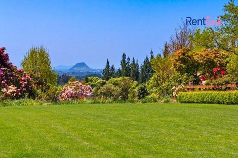 Photo of property in 497e Joyce Road, Pyes Pa, Tauranga, 3173