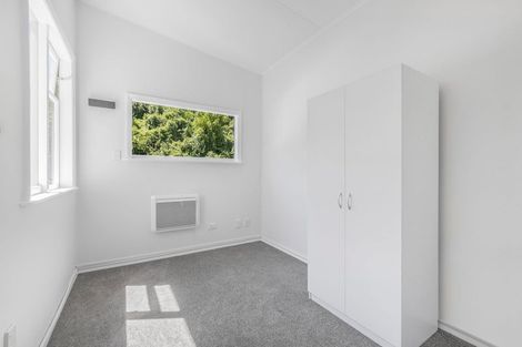Photo of property in 26 Adams Terrace, Aro Valley, Wellington, 6021