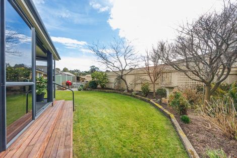 Photo of property in 7 Ursula Drive, Feilding, 4702