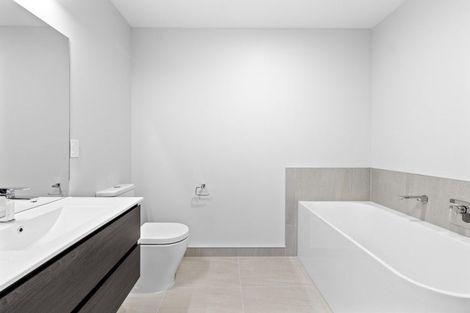 Photo of property in 65 Musselwhite Terrace, Chartwell, 3210