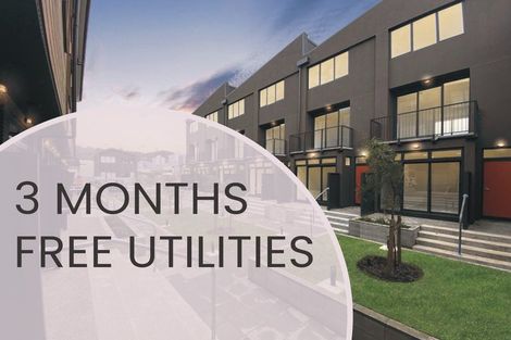 Photo of property in Aniva Terrace, 21 Arney Street, Newtown, Wellington, 6021