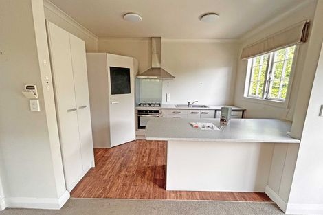 Photo of property in 56 Cook Street, Hamilton East, Hamilton, 3216