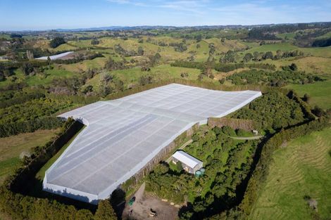 Photo of property in 231 Walford Road, Aongatete, Katikati, 3181