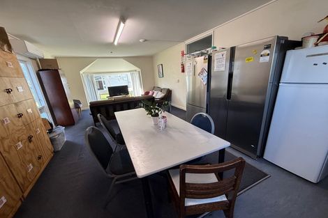 Photo of property in 113 Coromandel Street, Newtown, Wellington, 6021