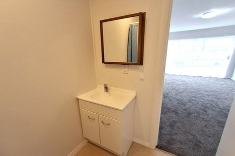 Photo of property in Avon Apartments, 11/313u The Terrace, Te Aro, Wellington, 6011