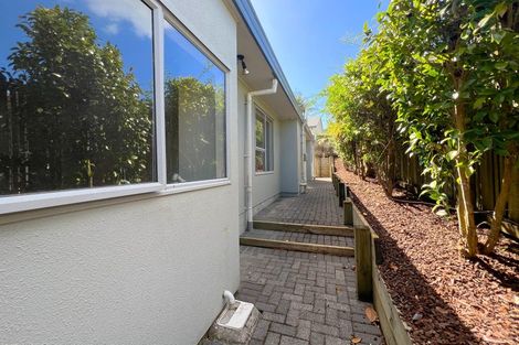 Photo of property in 17 Mercury Lane, Windsor Park, Auckland, 0632