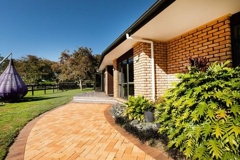 Photo of property in 161 Hautapu Road, Pukemoremore, Cambridge, 3493