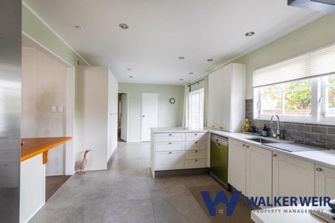 Photo of property in 58 Stanniland Street, Sunnyhills, Auckland, 2010