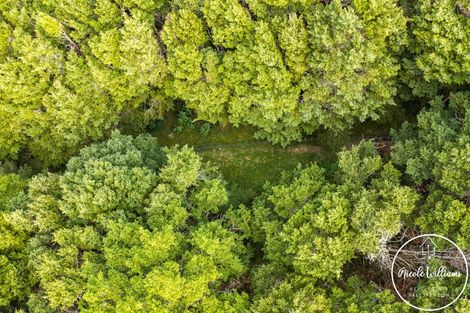 Photo of property in 297 Heatley Road, Whakapirau, Maungaturoto, 0583