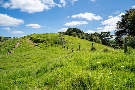 Photo of property in 278 Griffin Road, Maungaturoto, 0583