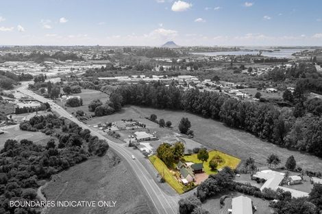 Photo of property in 195r Oropi Road, Oropi, Tauranga, 3173