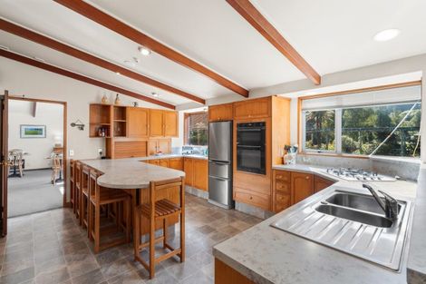 Photo of property in 96 Hau Hau Road, Blue Spur, Hokitika, 7882