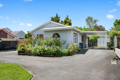 Photo of property in 51 Splitt Avenue, Glenview, Hamilton, 3206