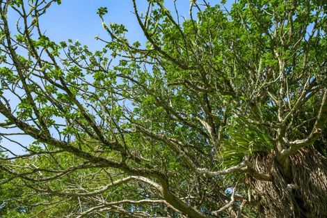 Photo of property in 11 Valerie Close, Warkworth, 0983