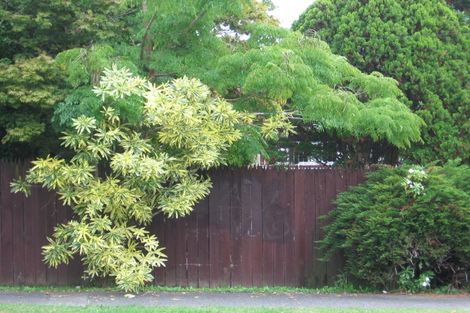 Photo of property in 62c/2 Te Atatu Road, Te Atatu South, Auckland, 0610