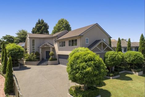 Photo of property in 14 Kenmure Place, Bethlehem, Tauranga, 3110