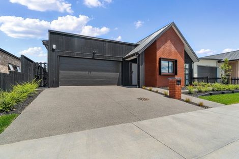 Photo of property in 37 Earp Crescent, Chartwell, 3210