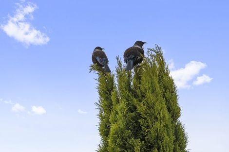 Photo of property in 26 Pacific Parade, Army Bay, Whangaparaoa, 0930