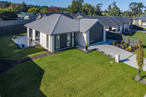 Photo of property in 17 Foster Place, Amberley, 7410