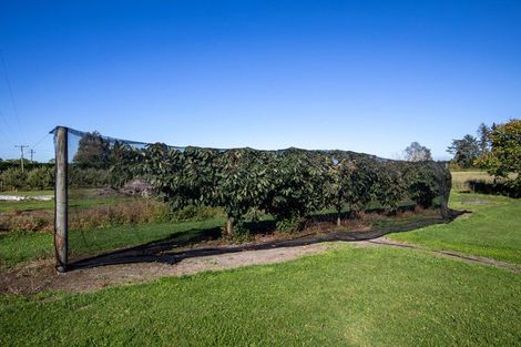 Photo of property in 402 Dixons Road, Loburn, Rangiora, 7472