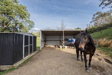 Photo of property in 307 Whananaki North Road, Opuawhanga, Hikurangi, 0181