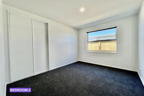 Photo of property in 13 John Gibb Street, Belfast, 8051