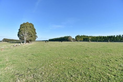 Photo of property in 77 Bridge Road, Fernside, Rangiora, 7475