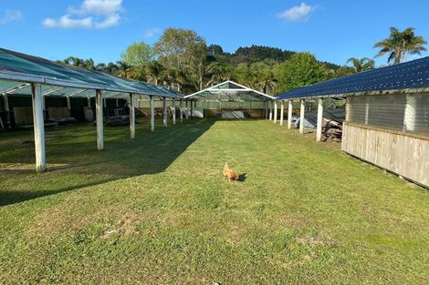 Photo of property in 798 Woodcocks Road, Kaipara Flats, Warkworth, 0981