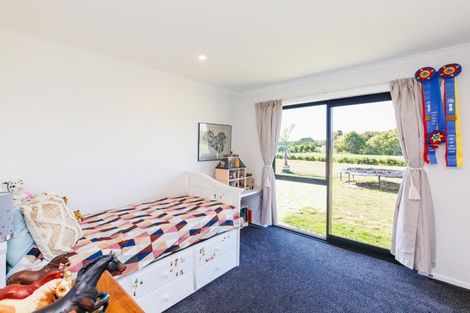 Photo of property in 41 Brinkburn Lane, Aokautere, Palmerston North, 4471