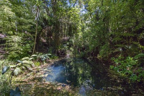 Photo of property in 425b Lund Road, Aongatete, 3178