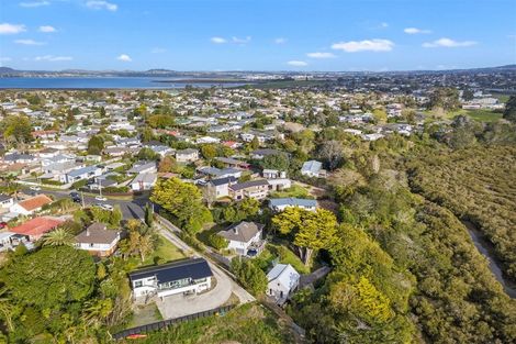 Photo of property in 9 Springbank Lane, Te Atatu Peninsula, Auckland, 0610