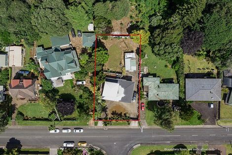 Photo of property in 65 Red Hill Road, Red Hill, Papakura, 2110