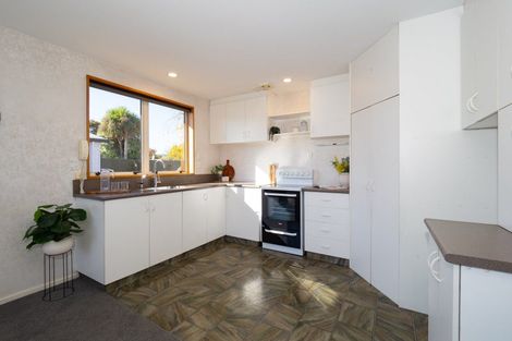 Photo of property in 49b Eton Street, Hampstead, Ashburton, 7700