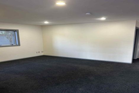 Photo of property in 14 Bush View Lane, Northcote Point, Auckland, 0627