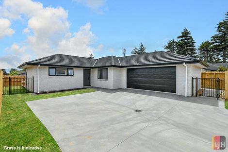 Photo of property in 20b Reidy Place, Pukekohe, 2120