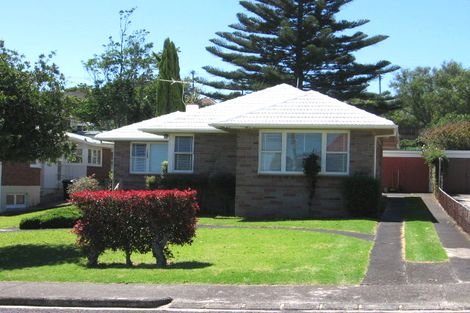 Photo of property in 9 Britton Avenue, Mount Roskill, Auckland, 1041