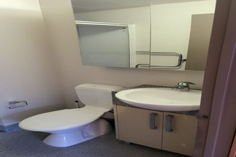 Photo of property in Dual Apartments, 108/142u Vivian Street, Te Aro, Wellington, 6011